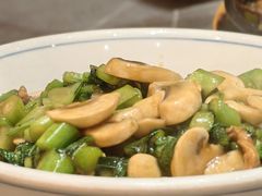 荠菜炒口蘑-八张桌子(老店)