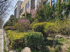 -崂山区第二实验小学