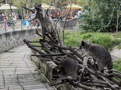 -宁波野生动物园