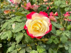 -人民公园(罗湖区)