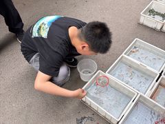 -苏州市皮市街花鸟工艺品市场