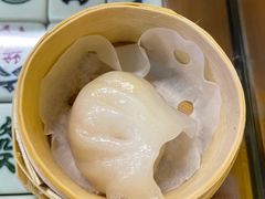 -七爷清汤腩·港式餐厅(金狮广场店)