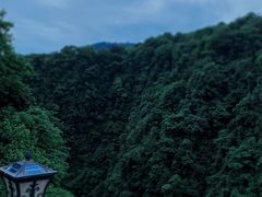 -碧峰峡风景区