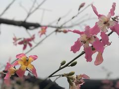 -清远熹乐谷温泉度假酒店