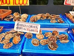 -海鮮寿司とれとれ市場