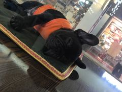 -乐宠宠物店(世纪金源店)