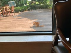 -浙江西子宾馆·瑶园咖啡厅