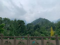 -青城甲(青城山店)