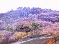 -青岛大珠山景区