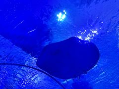 -多彩贵州城极地海洋世界