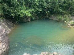 -广州白江湖森林公园