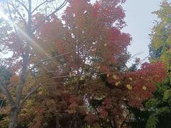 -长春世界雕塑园