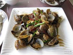 炒蛤蜊-三合园水饺(二马路店)
