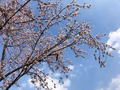 -桂溪生态公园
