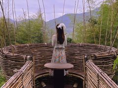 -泽雅景区