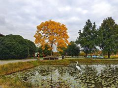 -宁波杭州湾国家湿地公园
