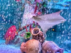 -沈阳海洋探索中心