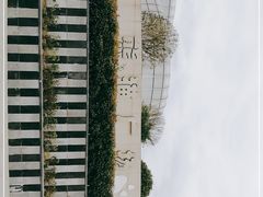 -成都大熊猫繁育研究基地