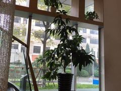 -鼎瀚中医门诊部