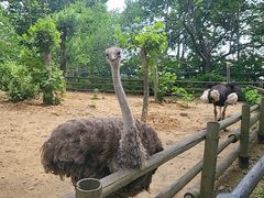 -大连森林动物园