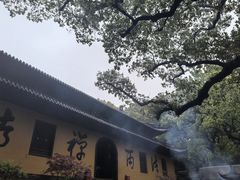 -普陀山风景名胜区-法雨禅寺