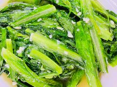 蒜蓉油麦菜-板桥海鲜广场(文明东店)