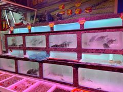 水产区-长平肥姐白粥·海鲜打冷