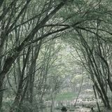 黄山·西溪南古村落 | 闯入童话中的绿野仙踪