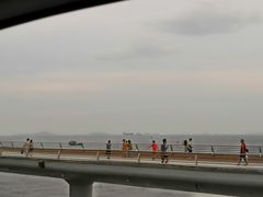 -演武大桥观景平台