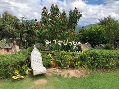 -大树秋千