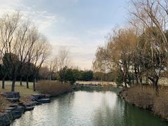 -上海滨江森林公园