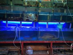 -来之顺海鲜菜馆·青岛菜(栈桥店)