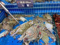 -乔哥铭洋海鲜自助(皇城恒隆广场店)