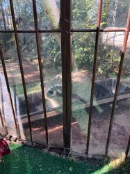 -萌宠亲子动物乐园(槐房万达店)