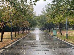 -蠡湖大桥公园