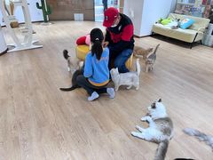 -1013 PET SHOP精品宠物商店(丁香店)