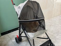 -半岛宠物医院24小时·内窥镜·牙科·碎石中心(府城大道店)
