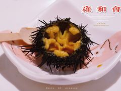 北海道海胆-雍和会海鲜姿造自助(湖东路店)