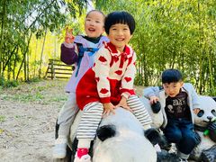 -杨浦科技幼稚园