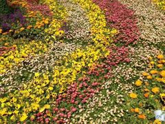 -石家庄市植物园