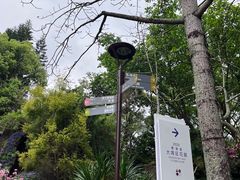 -深圳仙湖植物园