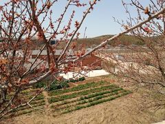 -大连北马山庄