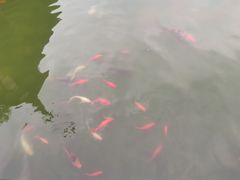 -祝家花園(伯渎港店)
