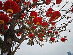 -万绿园