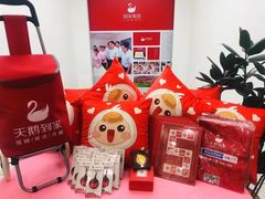 -天鹅到家·保姆月嫂育儿嫂(朝阳店)