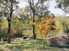 -瑞慈体检南通滨江机构