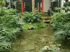 -湖北省中医院(光谷院区)