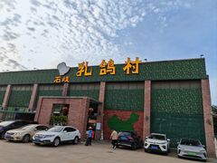 -石岐乳鸽村(南海第三分店)