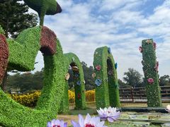 -广州莲花山旅游区
