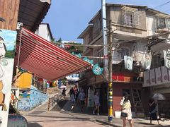 -猫咪博物馆(顶澳仔猫街店)